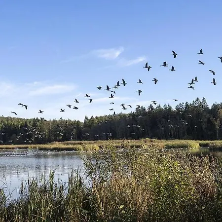 Peaceful Rural Oasis Close To Torp And Stokke Town Centre * Sandefjord